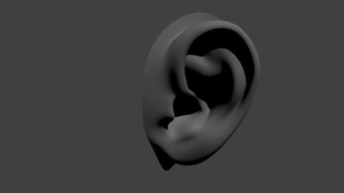 Ear preview image